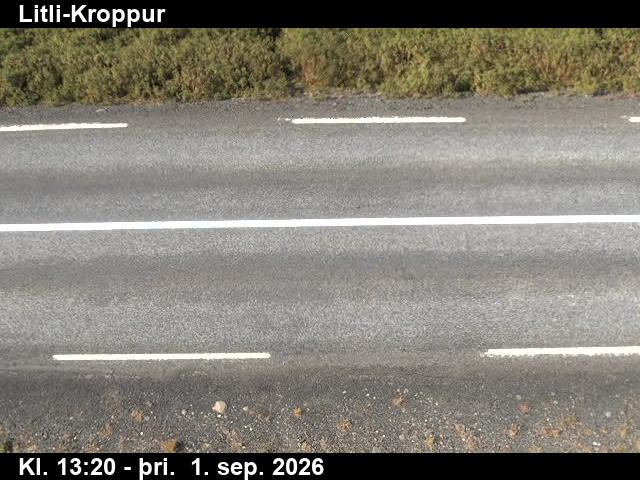 litli_kroppur_2-1788276375.jpg