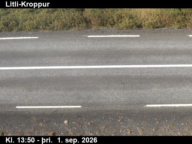 litli_kroppur_2-1788278502.jpg