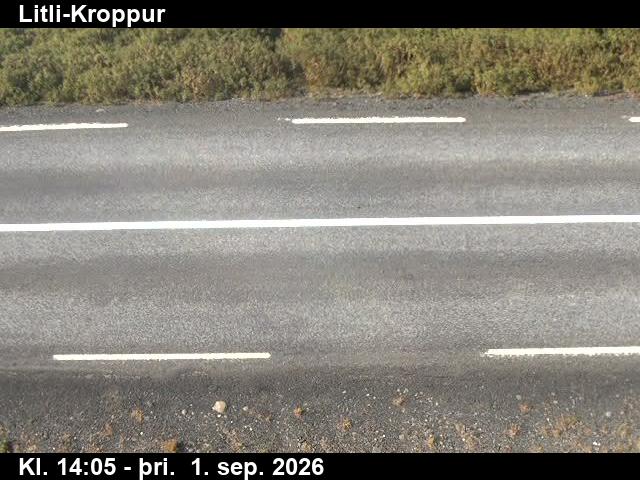 litli_kroppur_2-1788278743.jpg