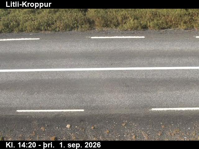 litli_kroppur_2-1788279972.jpg