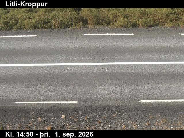litli_kroppur_2-1788282083.jpg