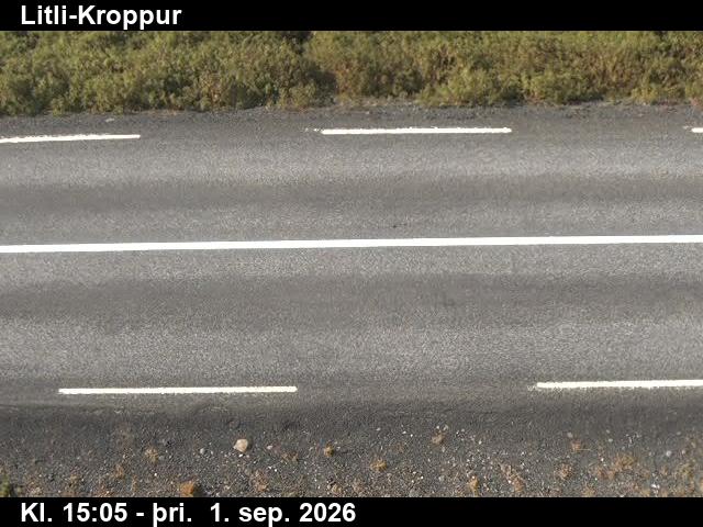 litli_kroppur_2-1788282389.jpg