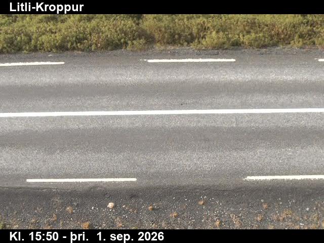 litli_kroppur_2-1788285669.jpg