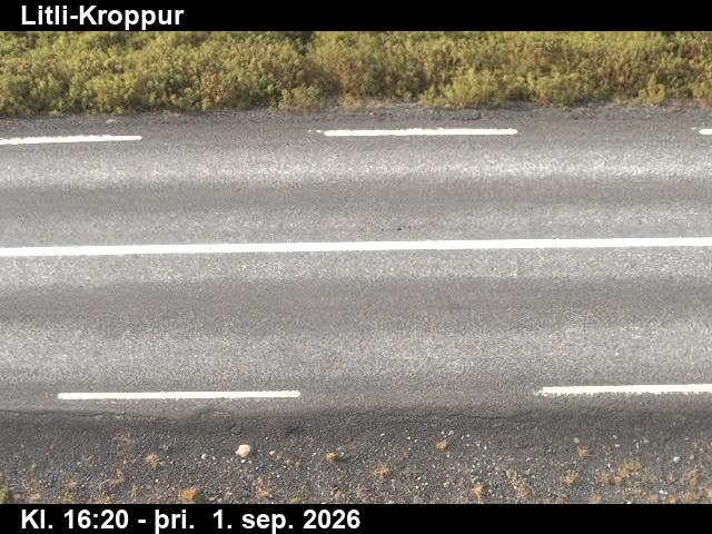 litli_kroppur_2-1788287142.jpg