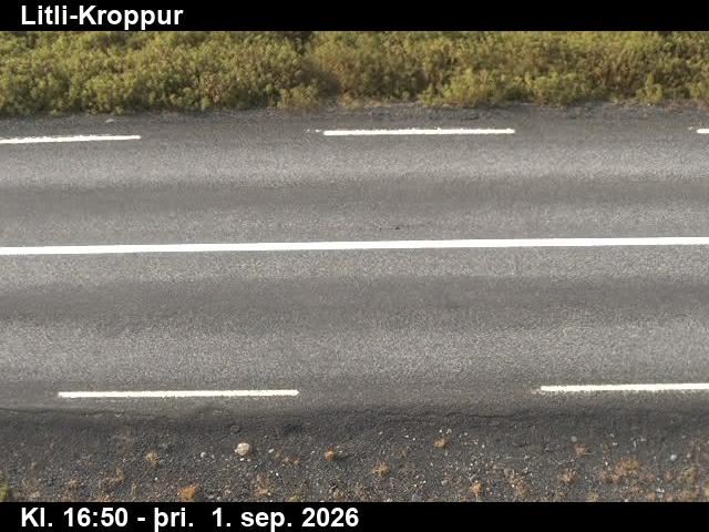 litli_kroppur_2-1788289270.jpg