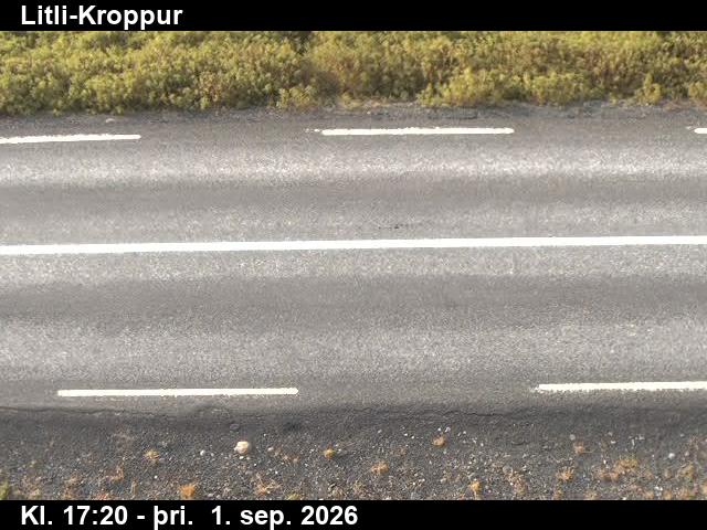 litli_kroppur_2-1788290736.jpg
