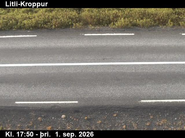 litli_kroppur_2-1788292886.jpg