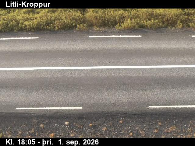 litli_kroppur_2-1788293199.jpg