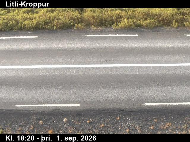 litli_kroppur_2-1788294338.jpg