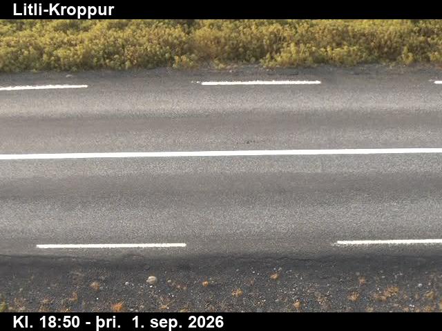 litli_kroppur_2-1788296468.jpg