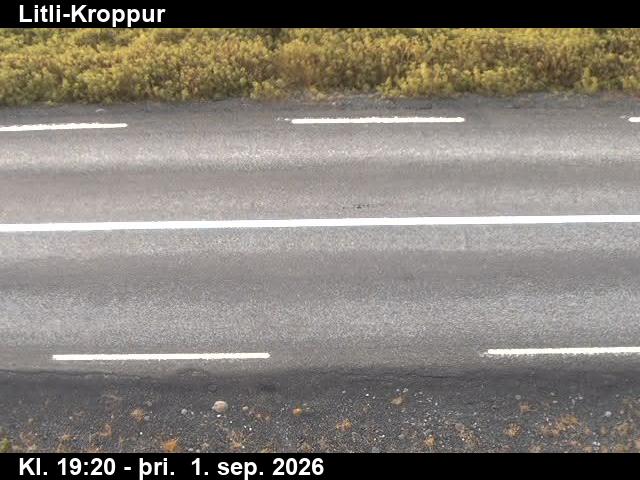 litli_kroppur_2-1788297932.jpg
