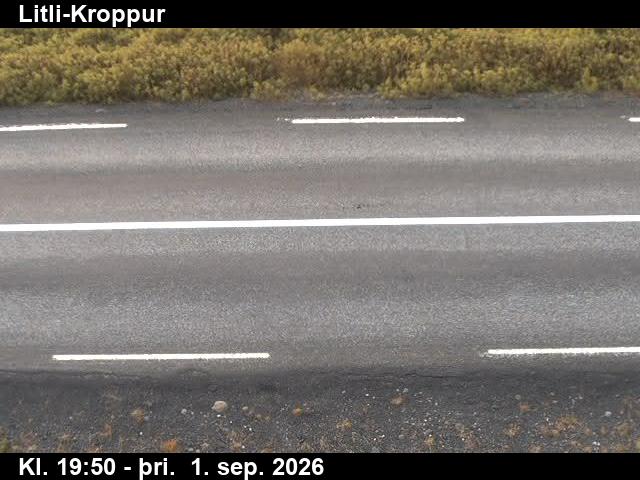litli_kroppur_2-1788300074.jpg