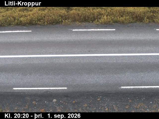 litli_kroppur_2-1788301559.jpg