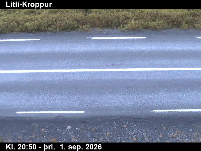 litli_kroppur_2-1788303767.jpg