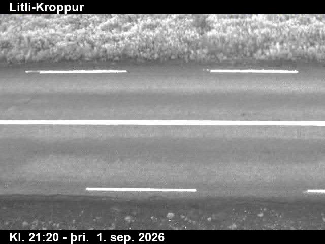 litli_kroppur_2-1788305135.jpg