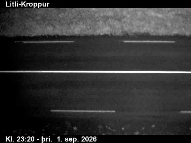 litli_kroppur_2-1788312328.jpg