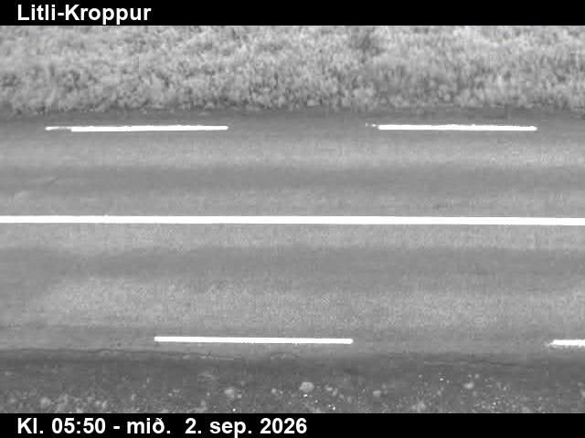 litli_kroppur_2-1788336066.jpg
