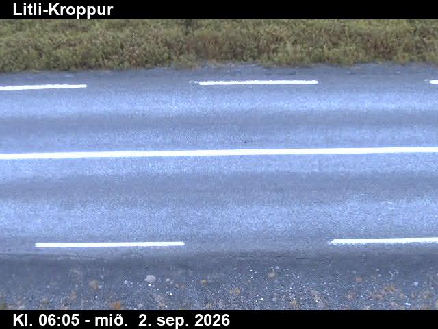 litli_kroppur_2-1788336374.jpg