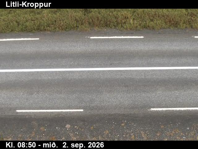 litli_kroppur_2-1788346913.jpg