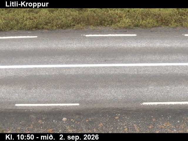 litli_kroppur_2-1788354192.jpg