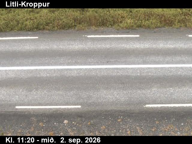 litli_kroppur_2-1788355557.jpg