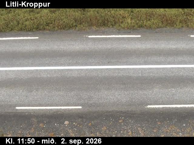 litli_kroppur_2-1788357674.jpg