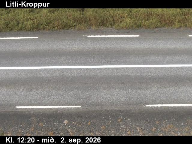 litli_kroppur_2-1788359141.jpg
