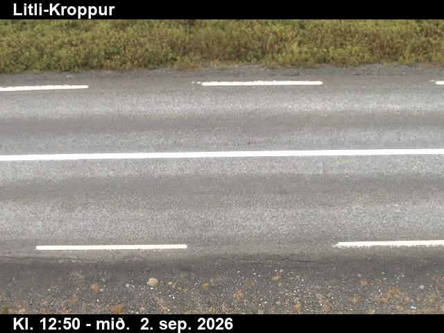 litli_kroppur_2-1788361303.jpg