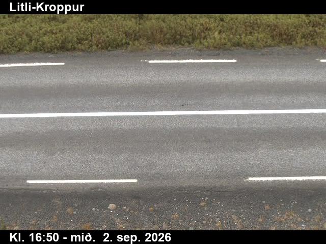 litli_kroppur_2-1788375751.jpg