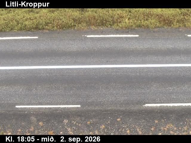 litli_kroppur_2-1788379557.jpg