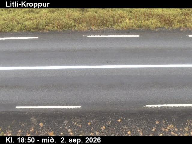 litli_kroppur_2-1788382896.jpg