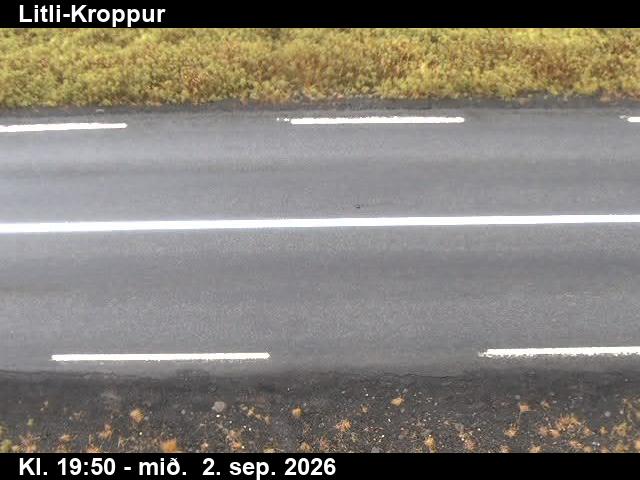 litli_kroppur_2-1788386537.jpg