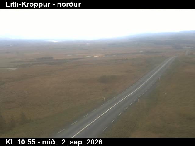 litli_kroppur_3-1788354167.jpg