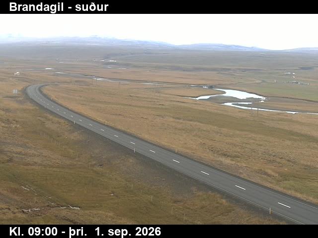 brandagil_1-1788260795.jpg