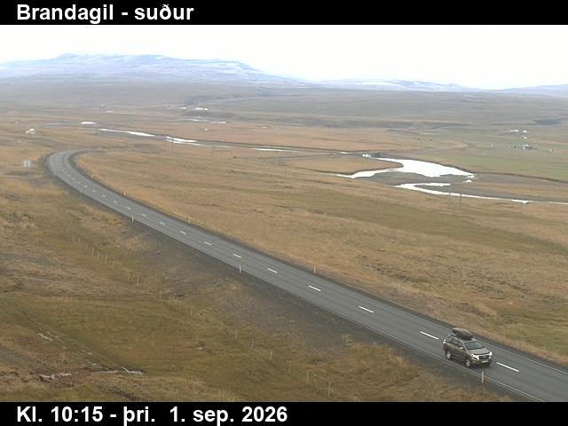 brandagil_1-1788265580.jpg