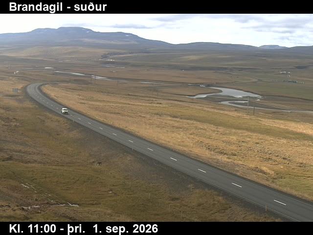 brandagil_1-1788267722.jpg