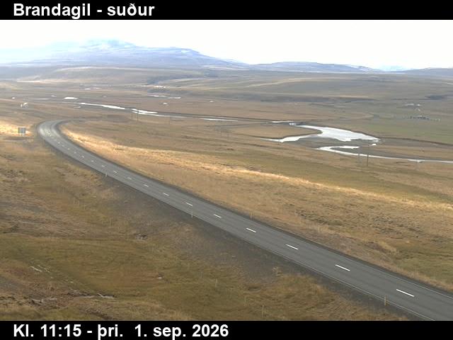 brandagil_1-1788269150.jpg