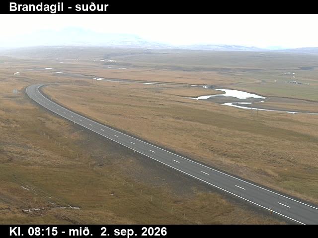 brandagil_1-1788344774.jpg