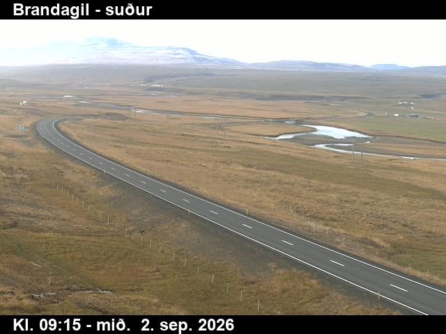 brandagil_1-1788348339.jpg