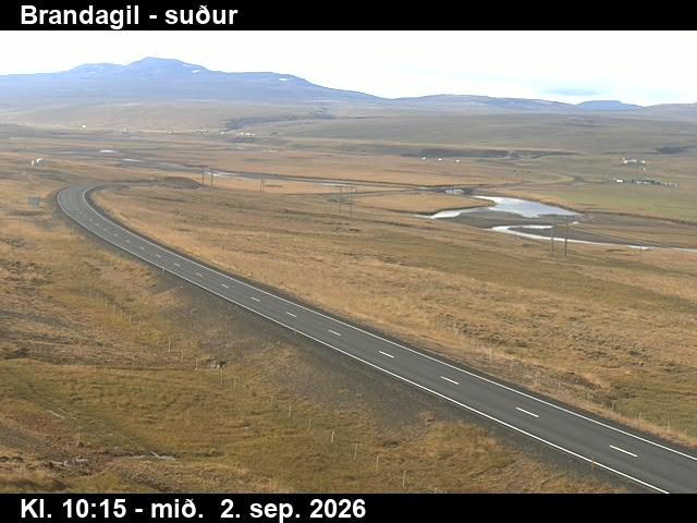 brandagil_1-1788351938.jpg