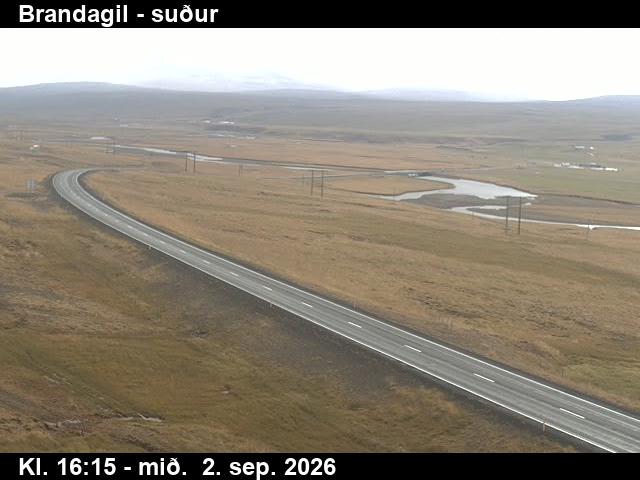 brandagil_1-1788373539.jpg