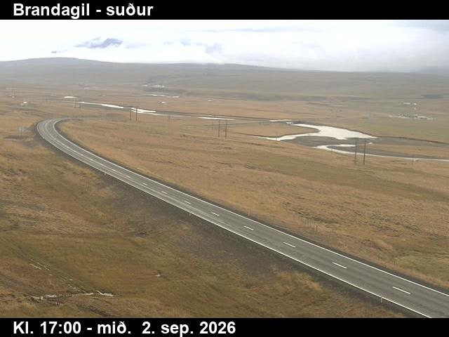 brandagil_1-1788375749.jpg