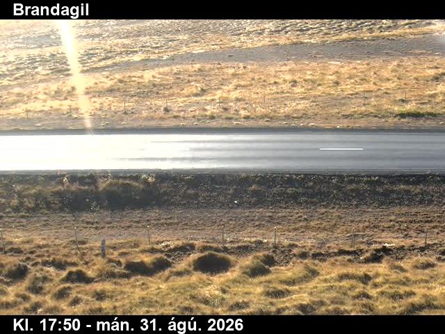 brandagil_2-1788206515.jpg