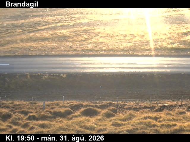 brandagil_2-1788213689.jpg
