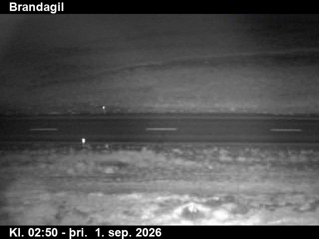 brandagil_2-1788238896.jpg