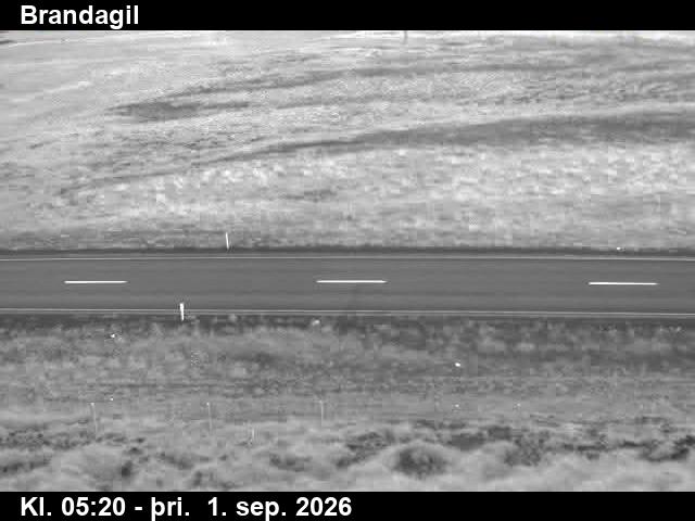 brandagil_2-1788247541.jpg