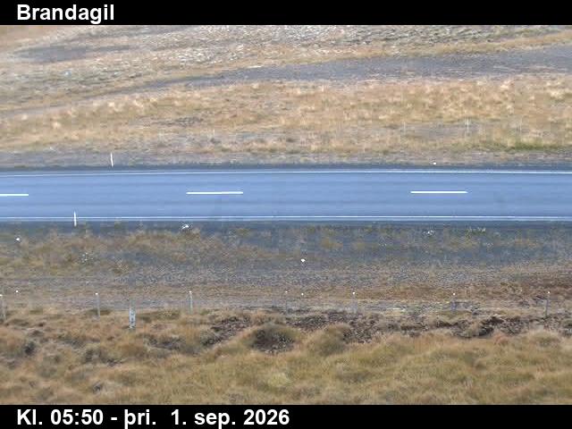 brandagil_2-1788249678.jpg
