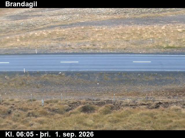 brandagil_2-1788249999.jpg