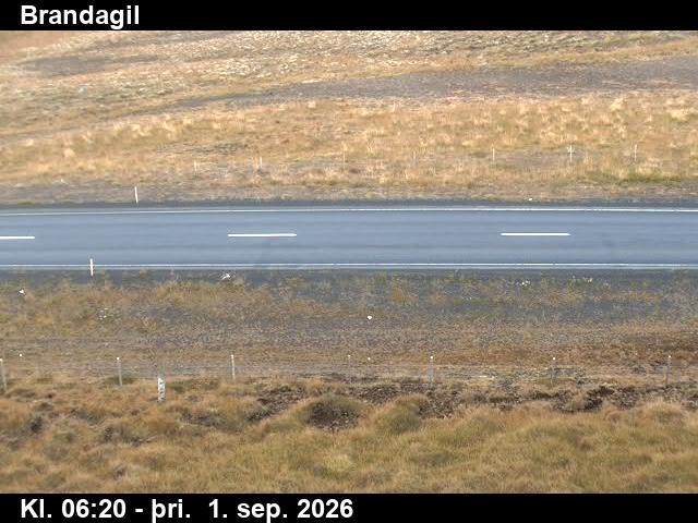brandagil_2-1788251145.jpg