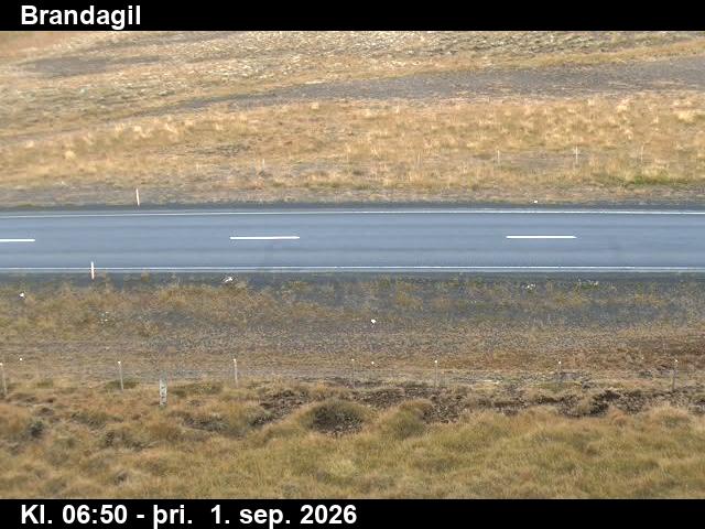 brandagil_2-1788253265.jpg